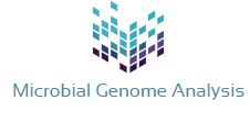 Microbial Genome Analysis System package MiGenAS
